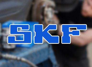 瑞典SKF軸承